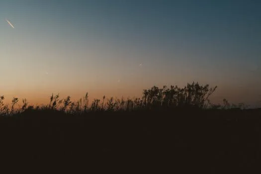 Confianza y Mentalidad: La Base de Todo al Ligar